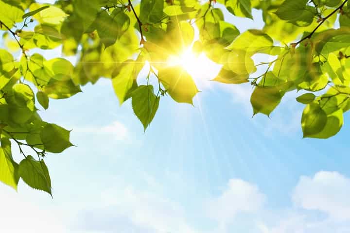 夏天缺水危害大 这么喝补水又健康