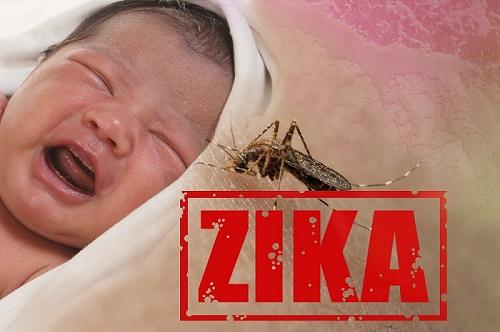 关于Zika寨卡病毒